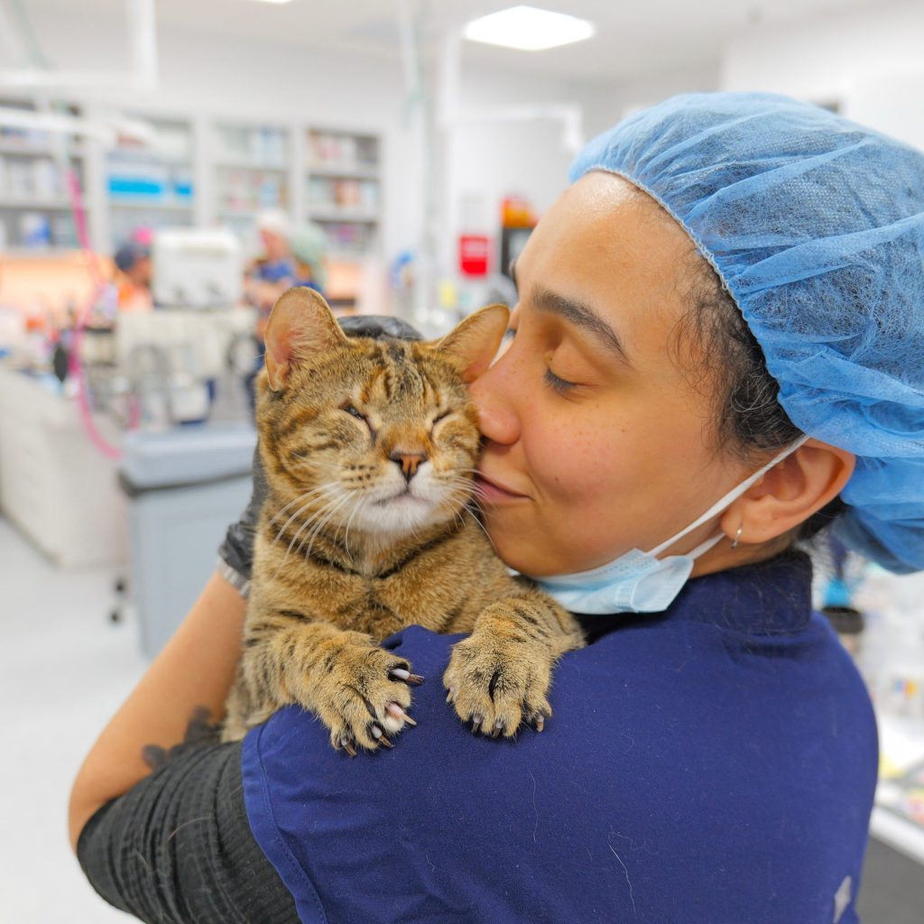 6392D797-2D9F-4DDC-BFCE-327EE1084EC7