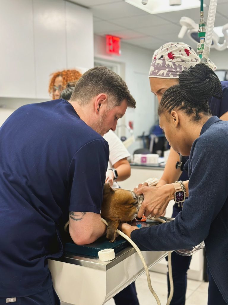 Facetune_15-10-2023-17-28-22